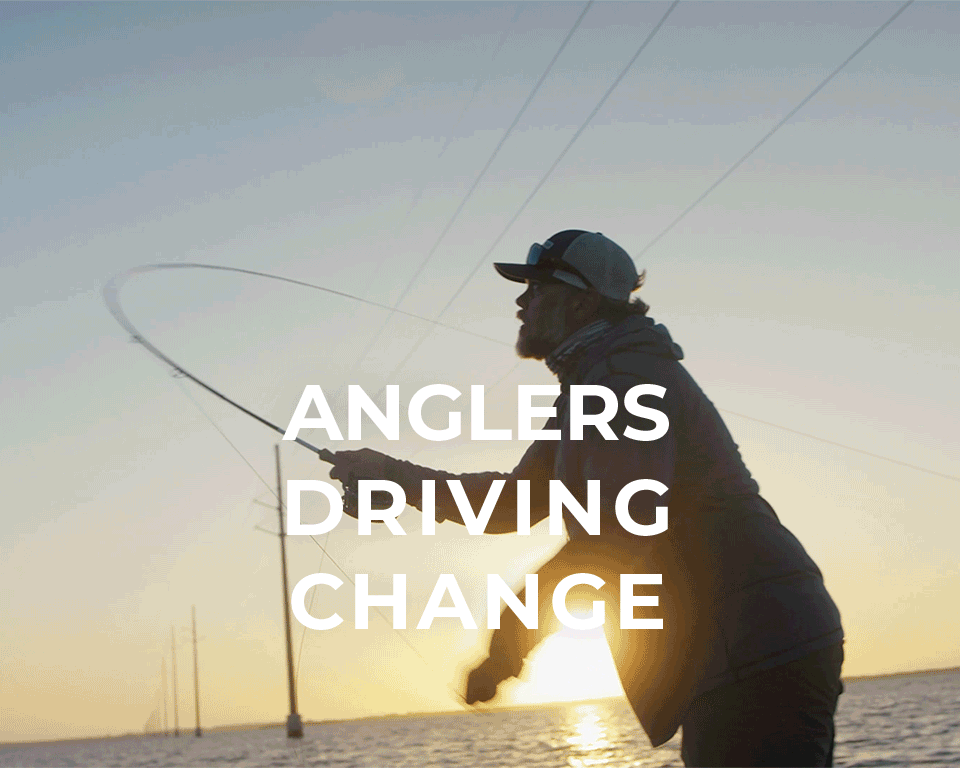 ambient video with clips from the anglers driving change video series