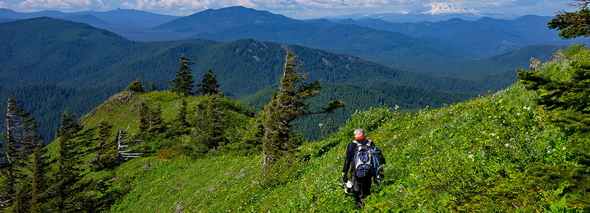 10+ Essentials for Every Hike