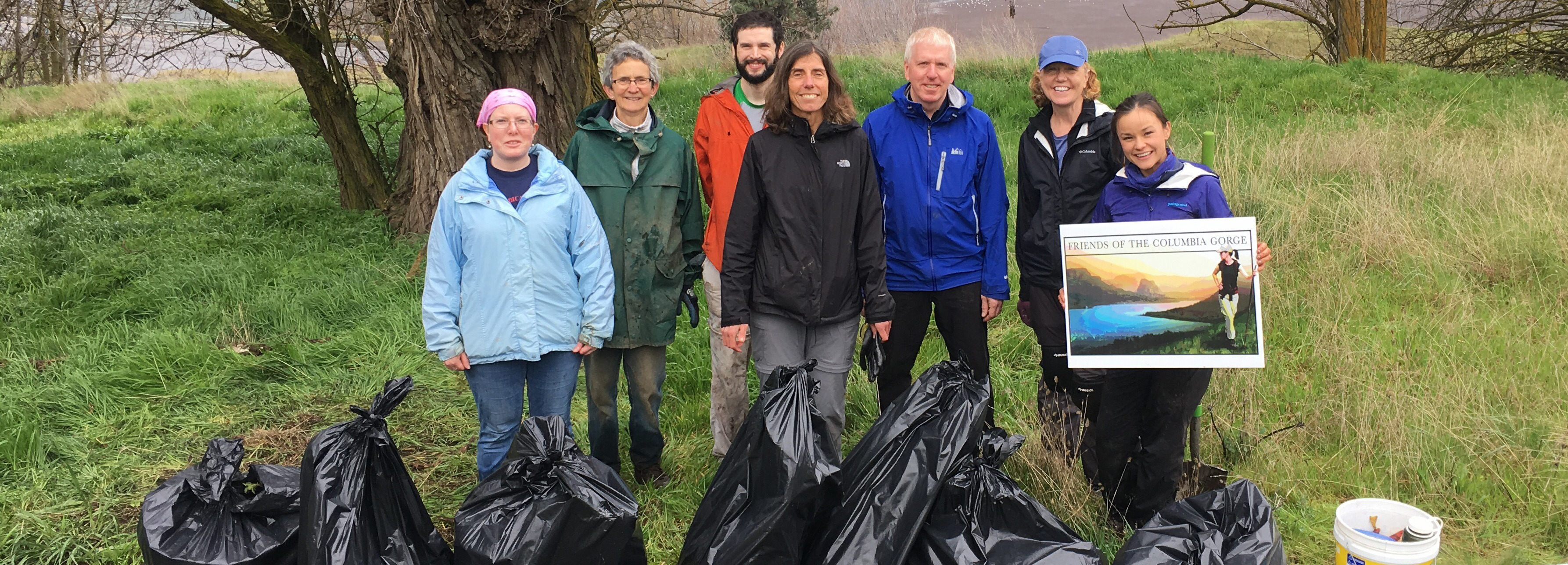 Stewardship Group Volunteer Opportunities