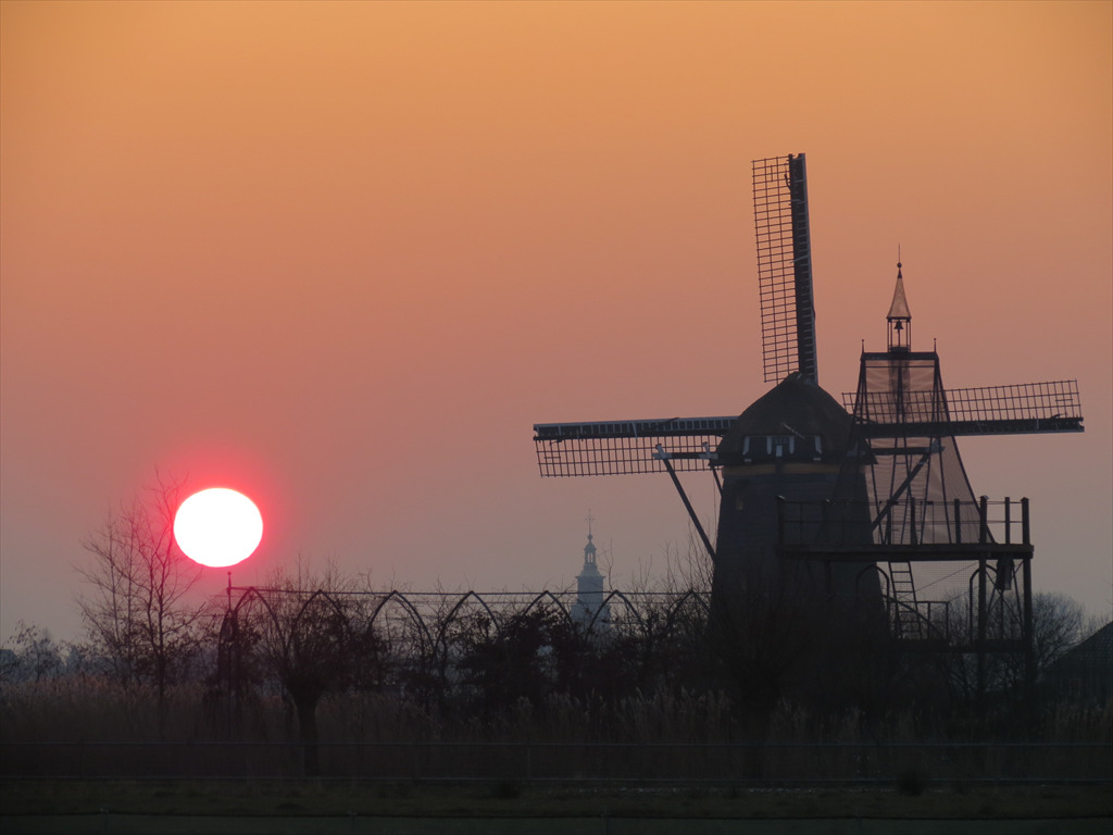 blaine@goldhillnursery.com