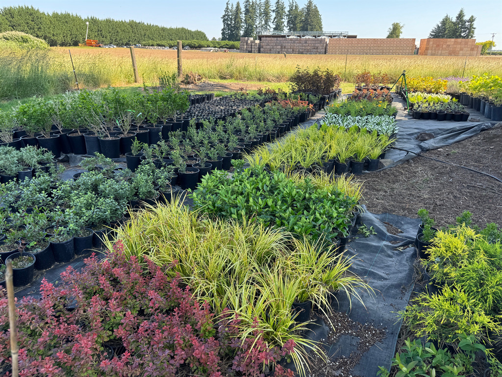 Landegentgardenoffires