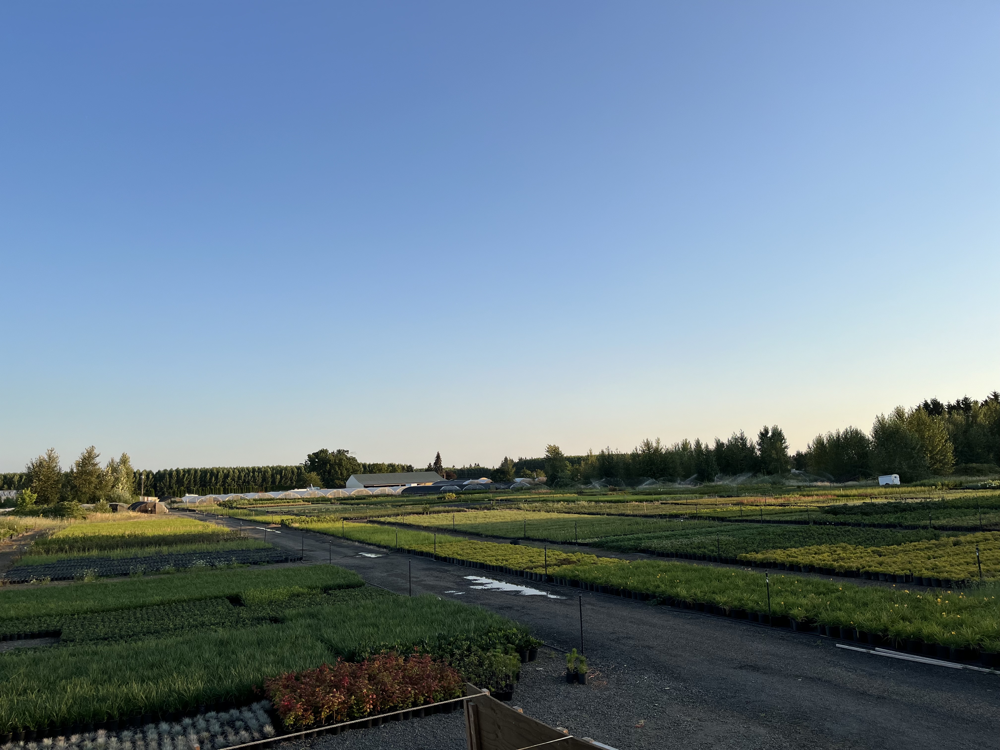 Woodburn Farm 