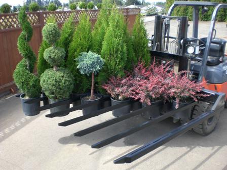 blaine@goldhillnursery.com