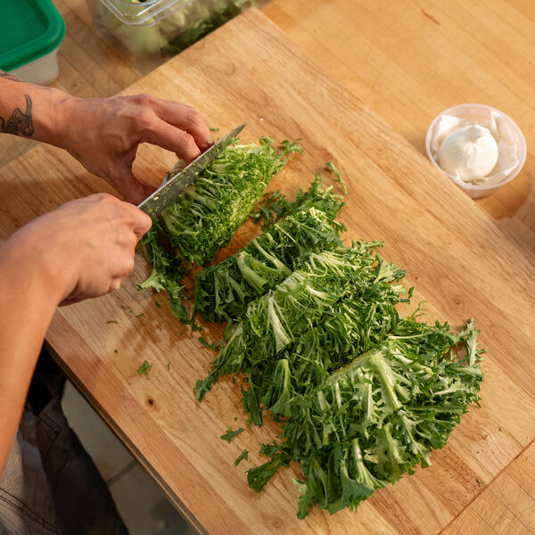 Experience the Forage November