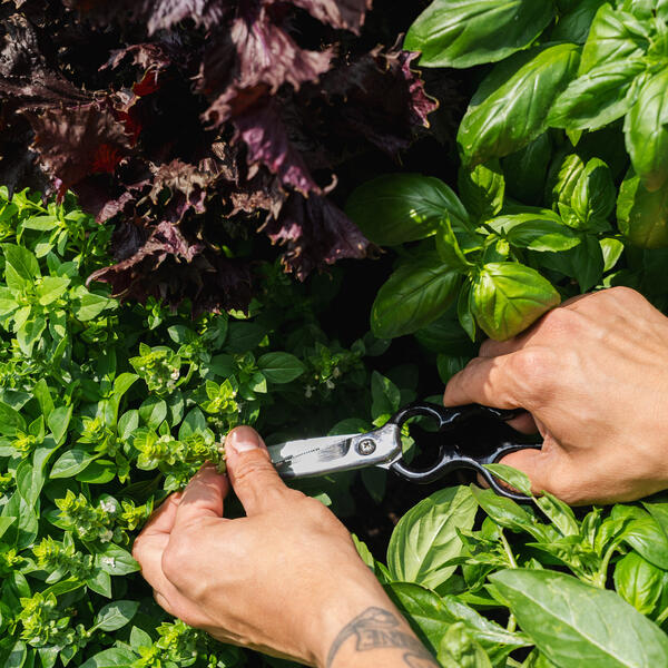 Happy Hour: How Does Your Garden Grow?