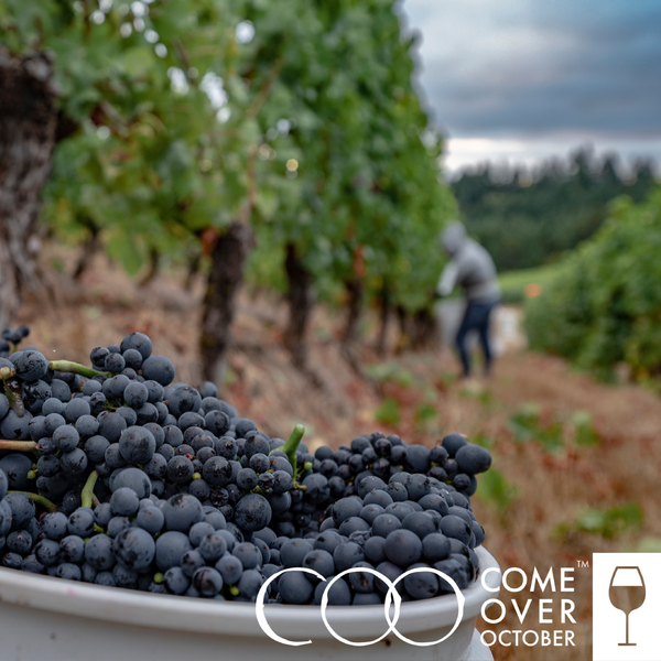 Happy Hour: Harvest After Hours