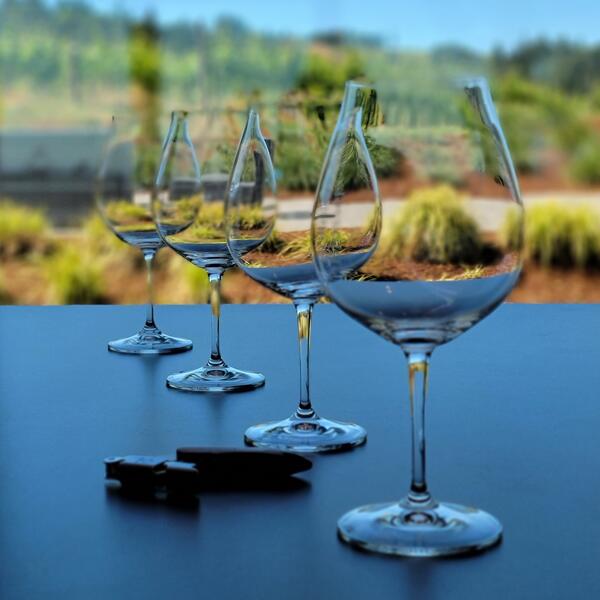 White Wine Festival