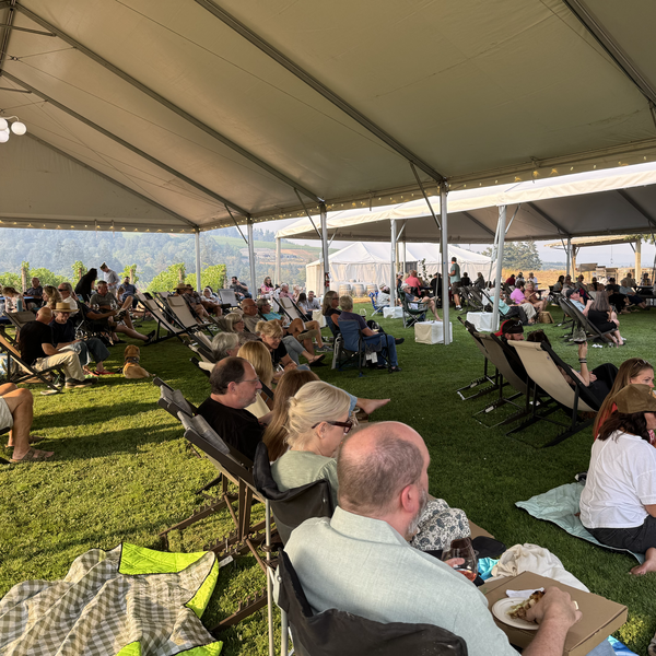 Live on the Lawn