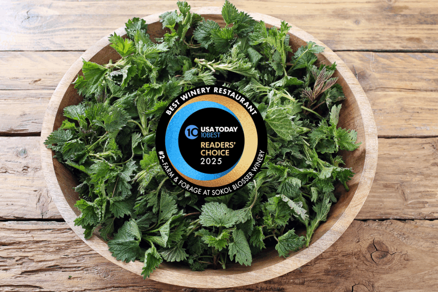 A New Culinary Experience